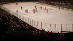 Detroit Red Wings - Central